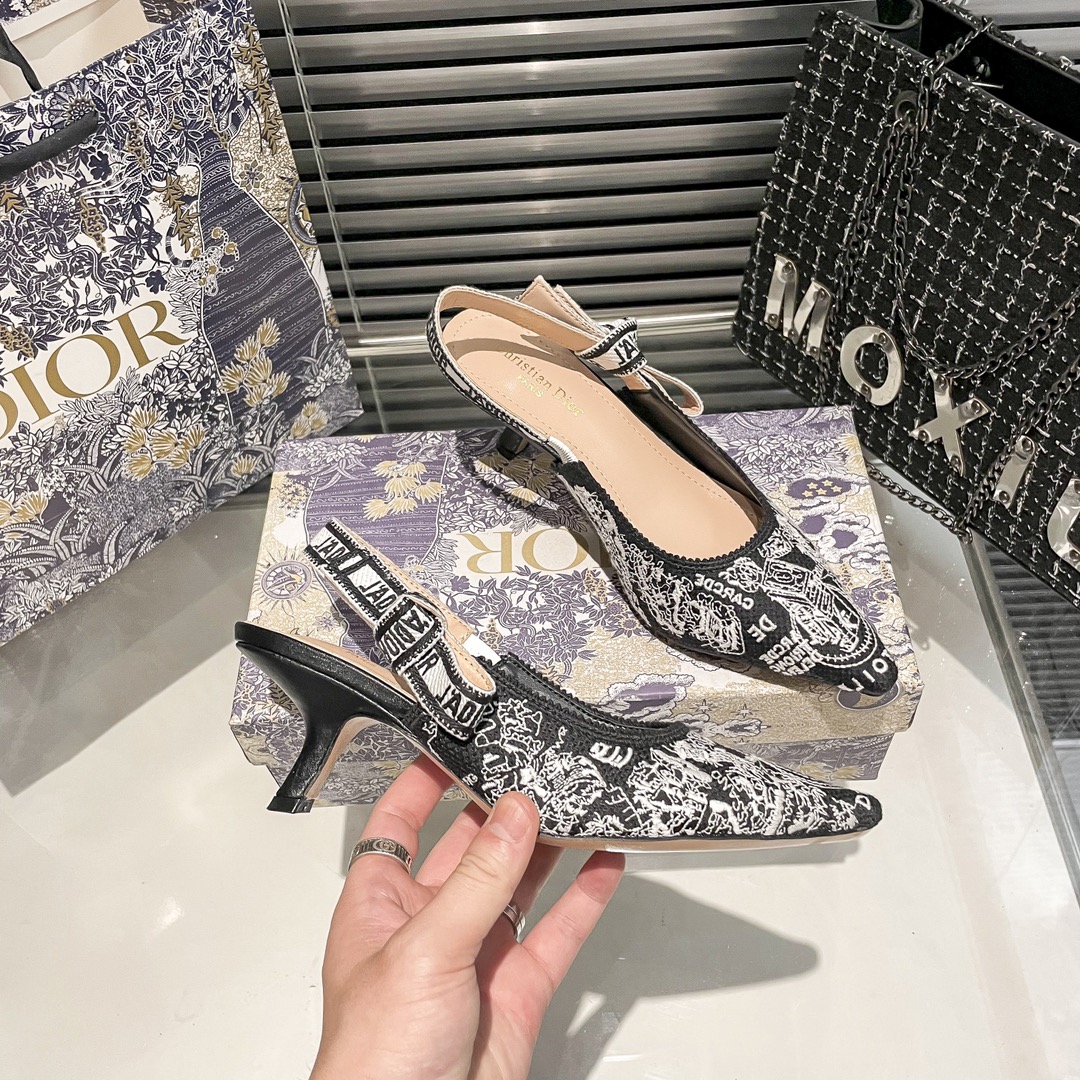 DIOR 新作刺繍ハイヒール 01zm 95759