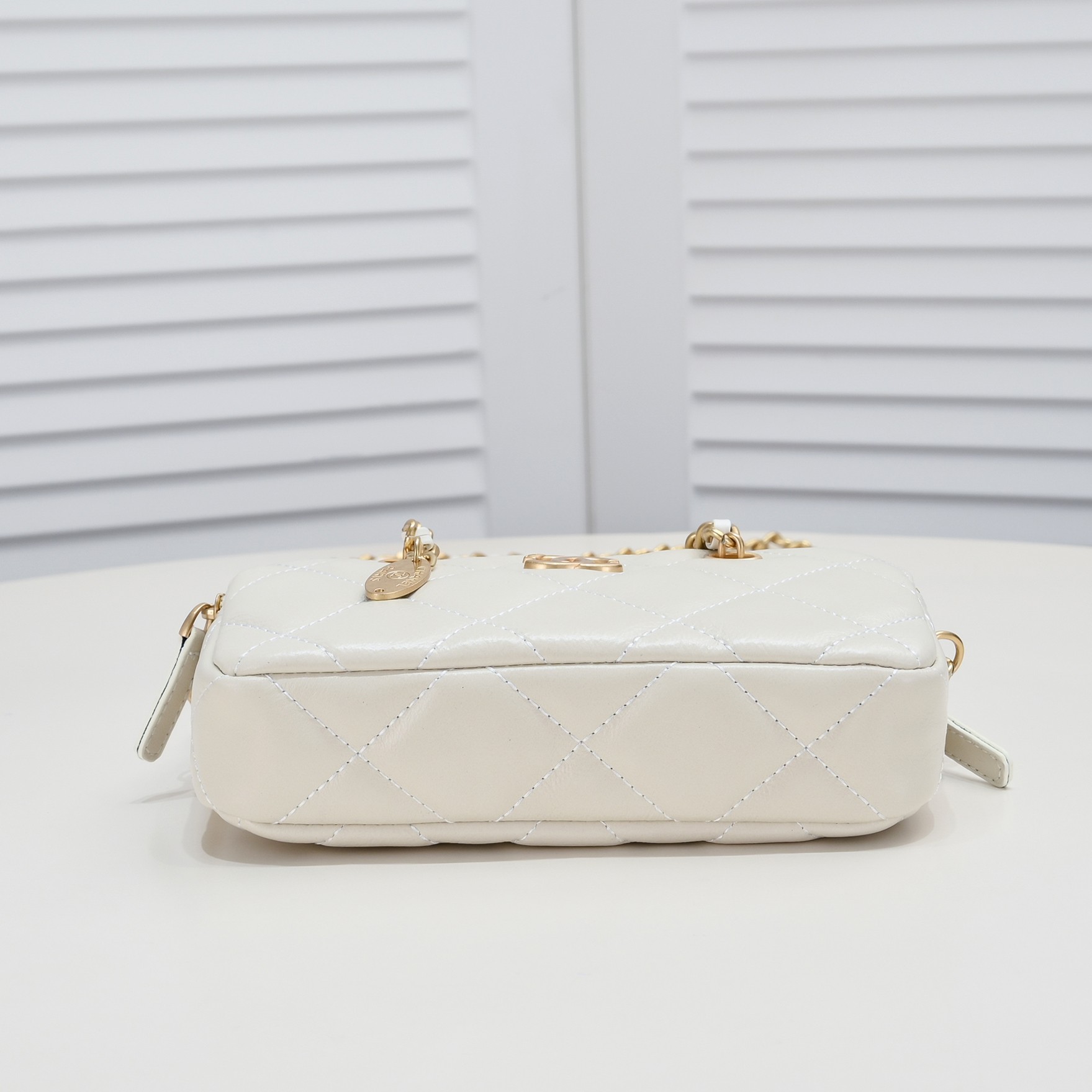 Chanel 23K gold coin chain bag-2 colors