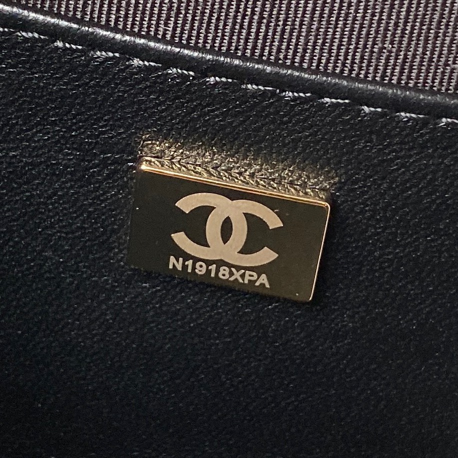 CHANEL 2024 Cruise CHANEL ☆STAR HANDBAG ☆AS4579
