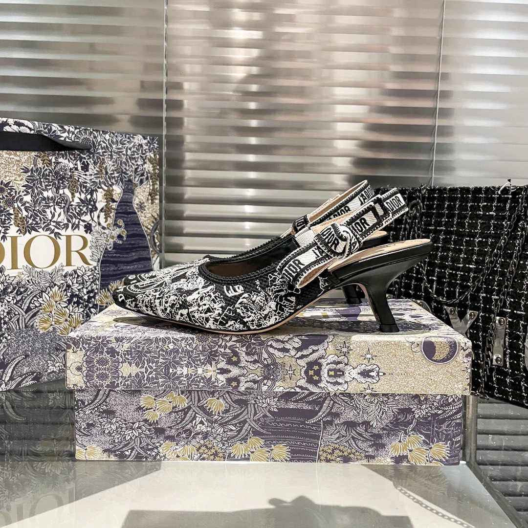 DIOR 新作刺繍ハイヒール 01zm 95759