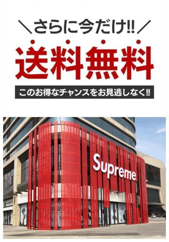 【The North Face × Gucci】【全国送料無料】【即日出荷】数量限定発売 ダウンジャケット