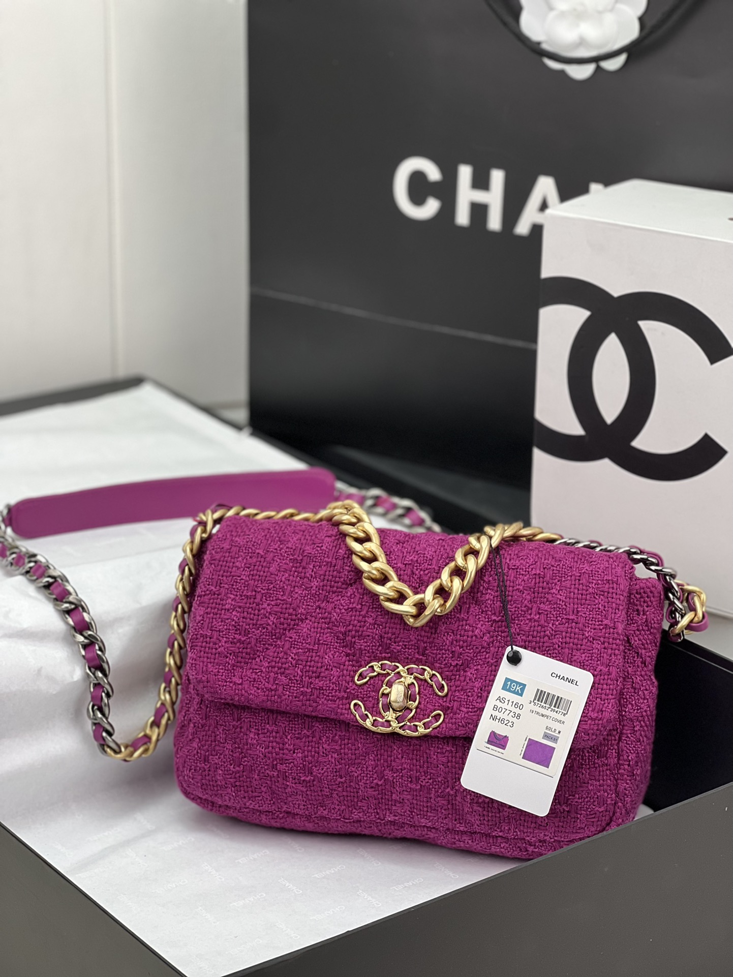 CHANEL 19 HANDBAG AS1161