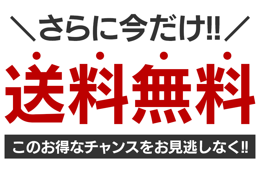 【Louis Vuitton日本公式許可旗艦店】ご好評に付き再入荷！！